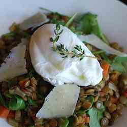 Poached Eggs over Lentils and Arugula