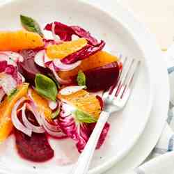 Winter salad with oranges and red chicory