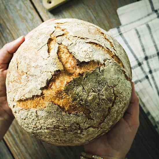 How to Make No-Knead Artisan Bread