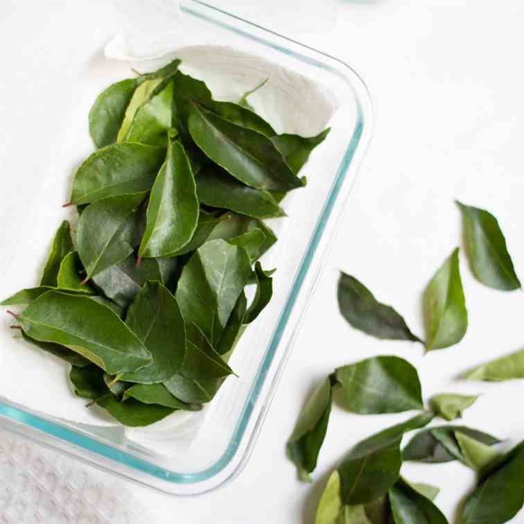 How to Store Curry Leaves