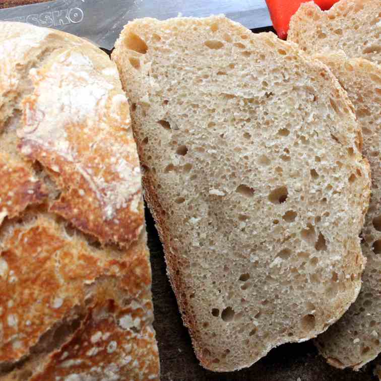 Mixed Flour Sourdough Bread for the Oven o